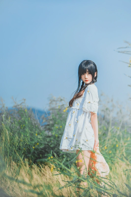 田野 - 桜桃喵