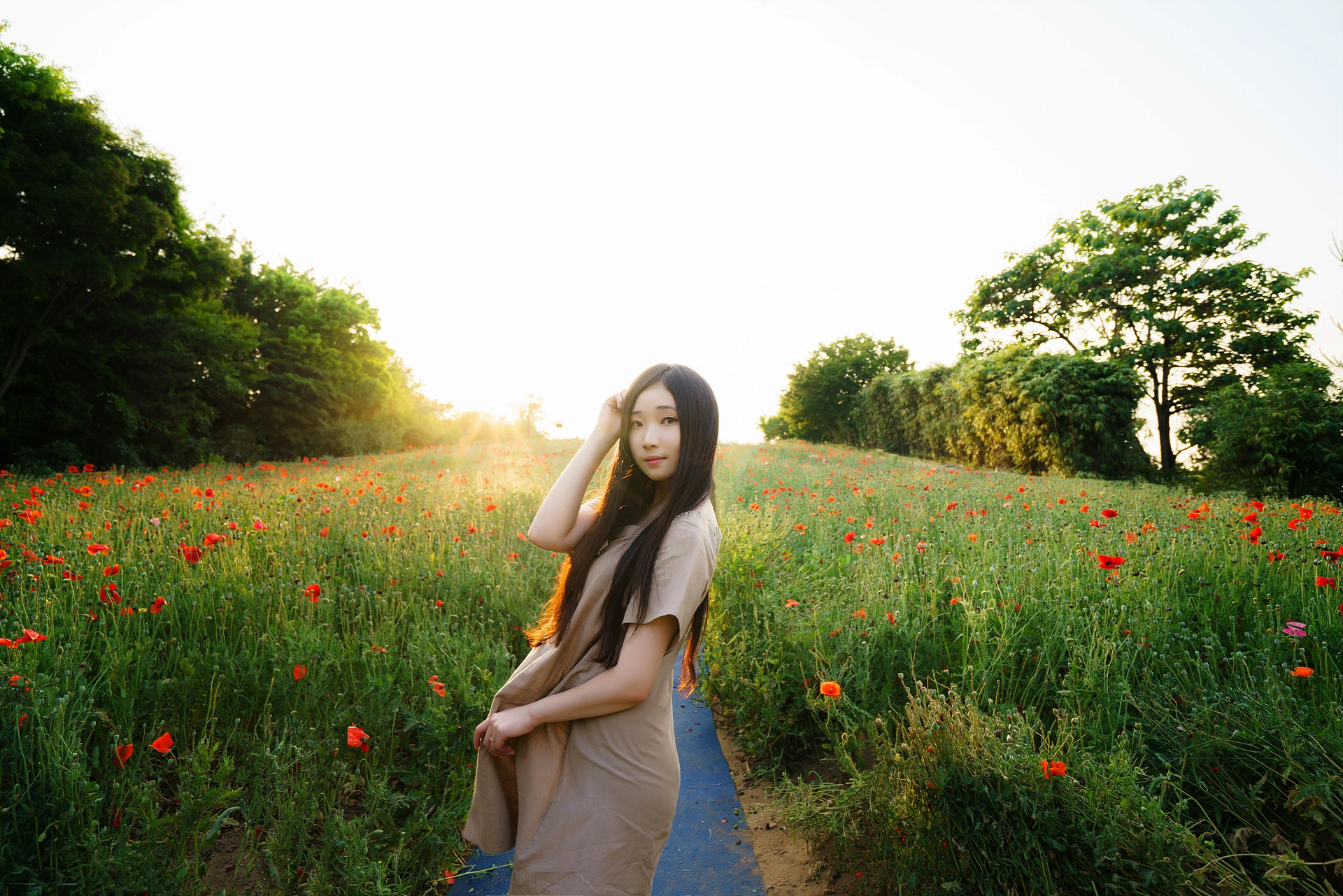 Bambi밤비 - NO.106 Lacerta Photography 1