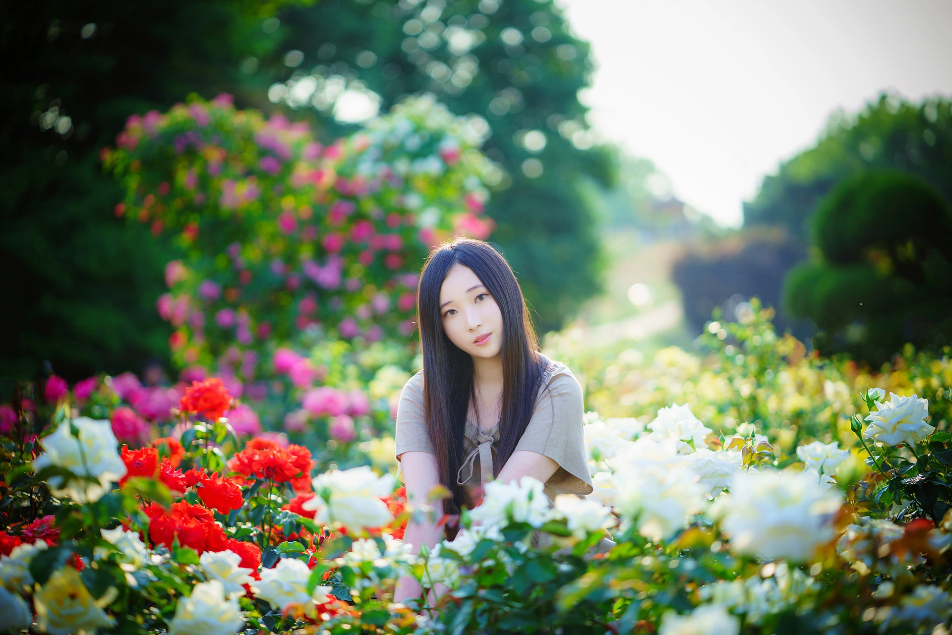Bambi밤비 - NO.106 Lacerta Photography 2