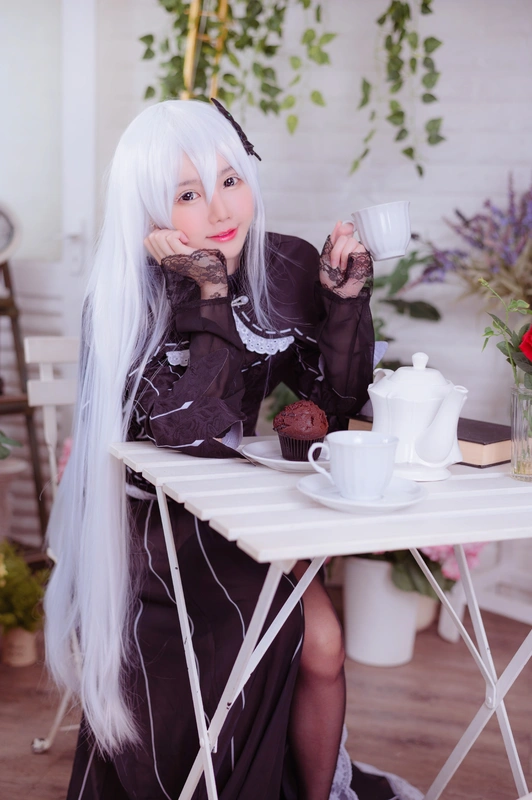 Echidna - Sally Dorasnow